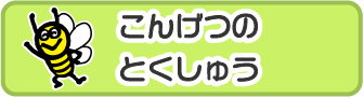 こんげつのとくしゅう_smartphone
